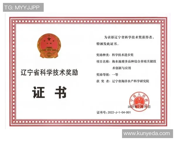 上海网球队进攻体系解析：网球战术的创新与应用探讨