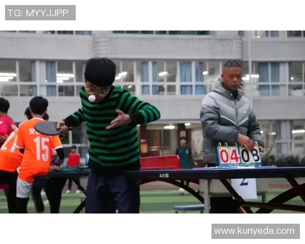 乒乓球新手必看团队协作技巧与入门指南助你快速提升球技