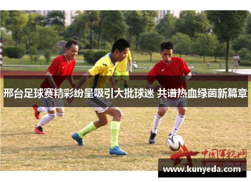 邢台足球赛精彩纷呈吸引大批球迷 共谱热血绿茵新篇章